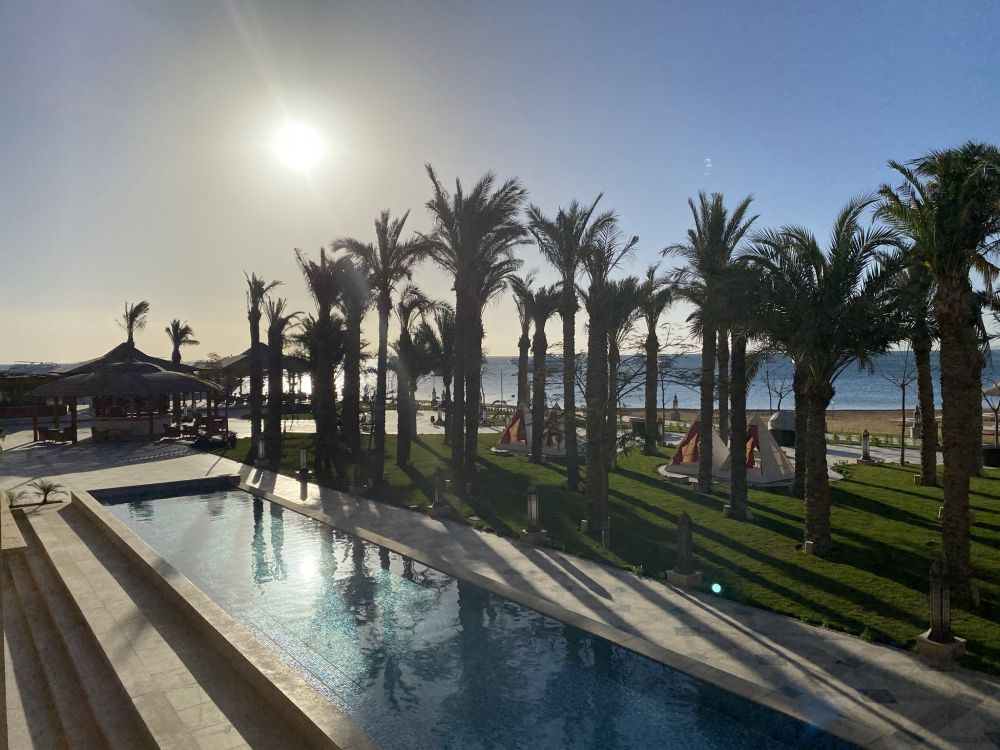 棕榈树, 性质, 阳光, 人体内的水, 休闲 壁纸 2048x1536 允许