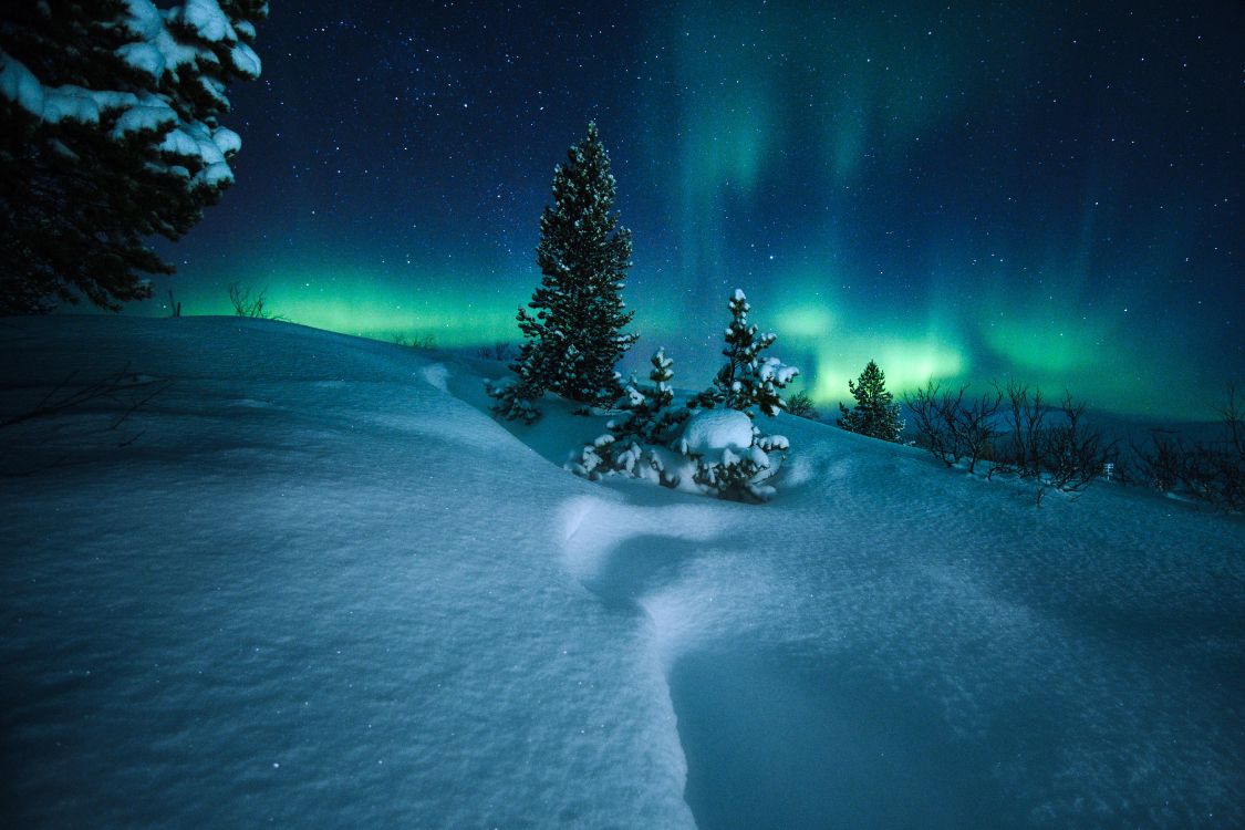 Cercle Arctique, Aurora, Neige, Nature, Hiver. Wallpaper in 5406x3604 Resolution