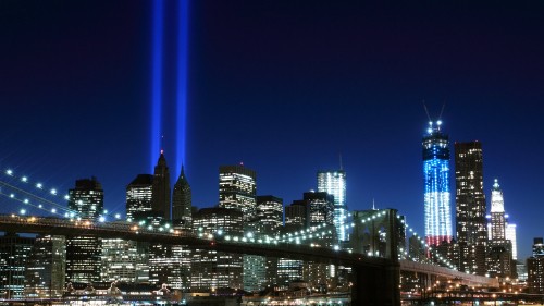 Image city skyline during night time