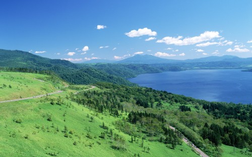 Image green grass field near body of water during daytime