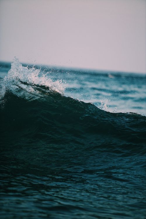 ocean, sea, wind wave, wave, water