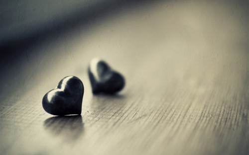 Image heart, monochrome, black and white, macro photography, still life photography