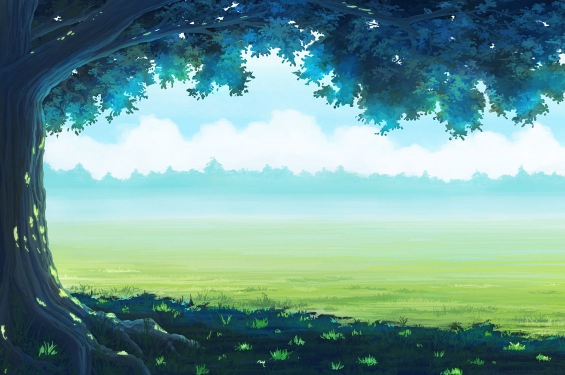 Campo de Hierba Verde Bajo un Cielo Azul Durante el Día. Wallpaper in 2560x1700 Resolution