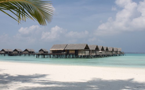 Image brown wooden houses on beach during daytime