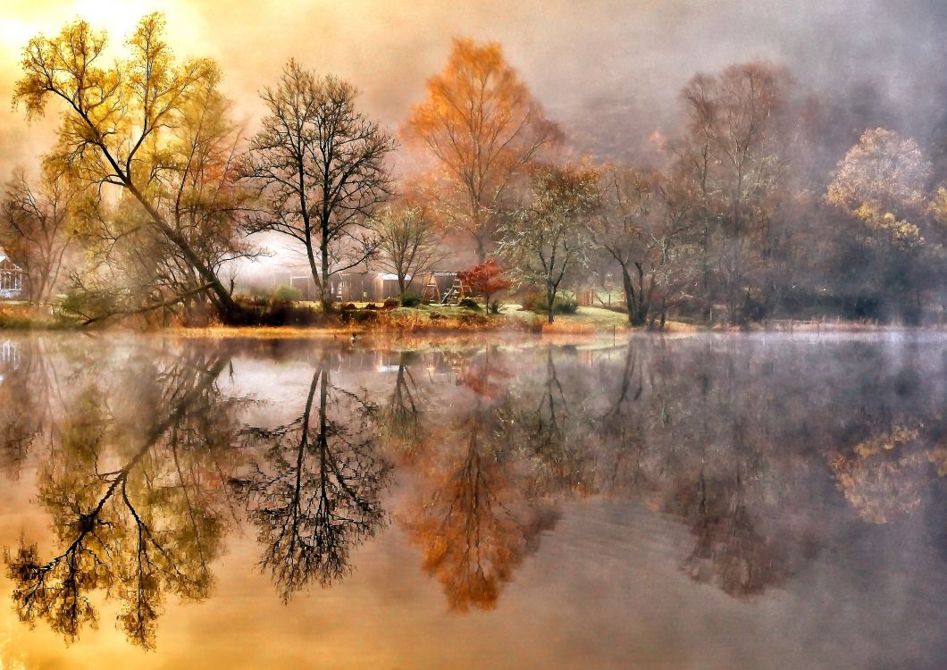 Brown Trees Beside River During Daytime. Wallpaper in 3105x2196 Resolution