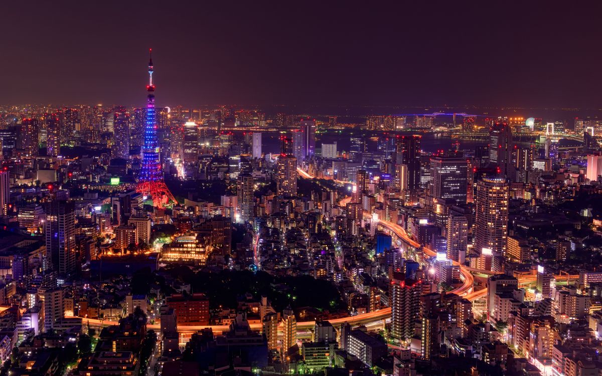 city with high rise buildings during night time