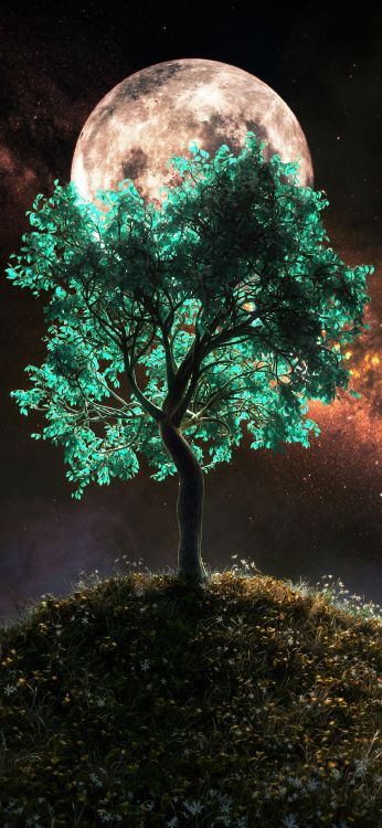 Wisgoon, Ambiente, Luz, Verde, Paisaje Natural. Wallpaper in 1080x2340 Resolution