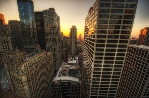 Image high rise buildings during daytime