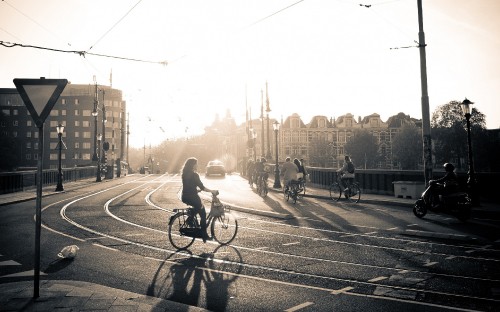 Image grayscale photo of man riding bicycle on road