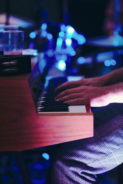 Organe, Clavier Musical, L'électronique de L'instrument, Pianiste, Instrument de Musique. Wallpaper in 4032x6032 Resolution