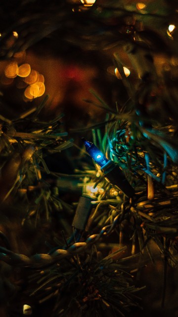 Image darkness, bokeh, light, tree, night