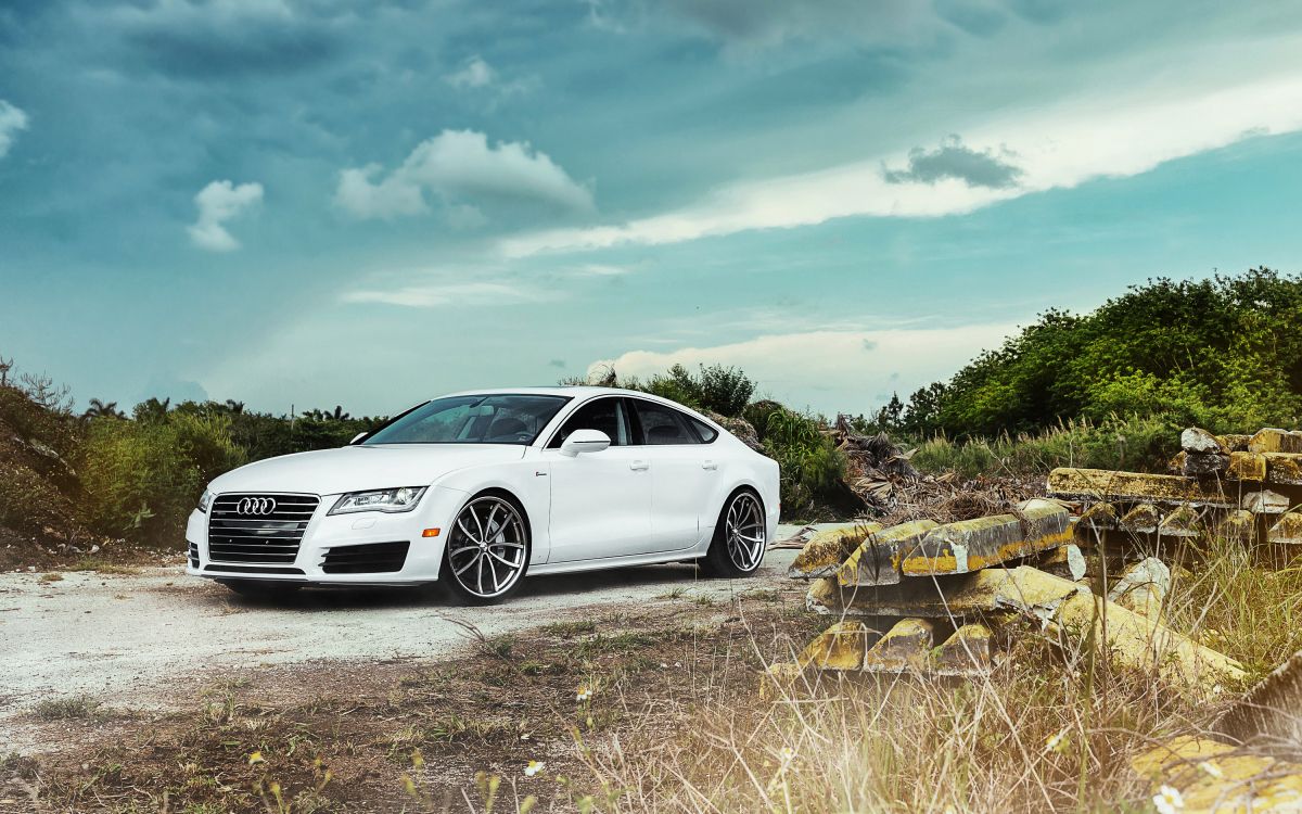 white mercedes benz coupe on brown wooden log during daytime