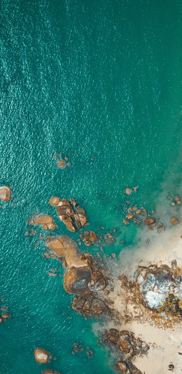 Image blue, green, turquoise, water, world