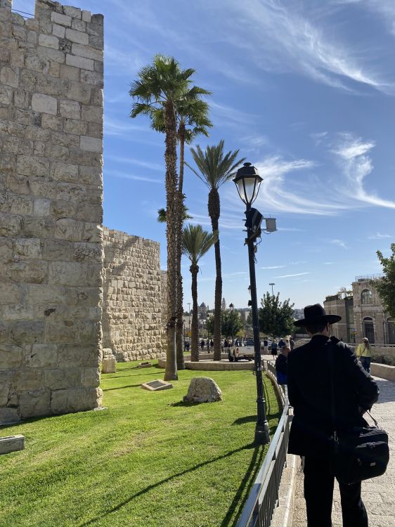 棕榈树, 考古遗址, 石壁, 路灯, 古代历史 壁纸 1536x2048 允许