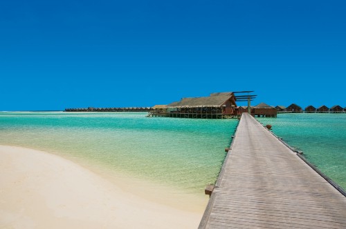 Image brown wooden dock on sea during daytime