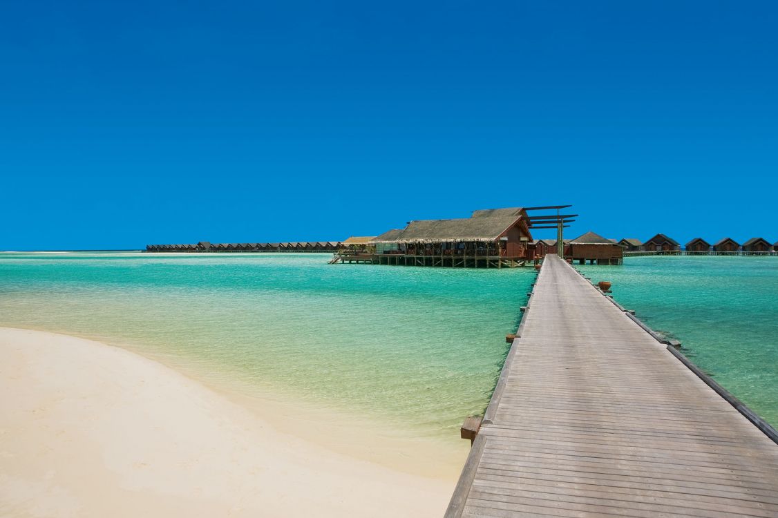 brown wooden dock on sea during daytime