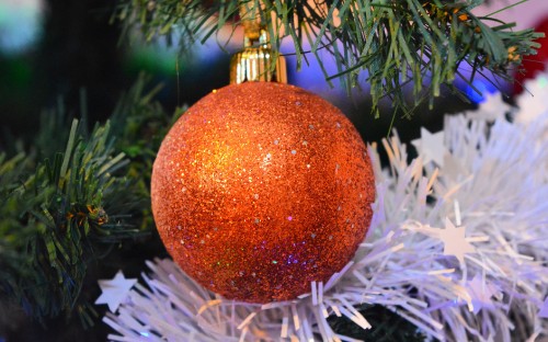 Image Christmas Day, christmas decoration, christmas ornament, artificial christmas tree, christmas tree