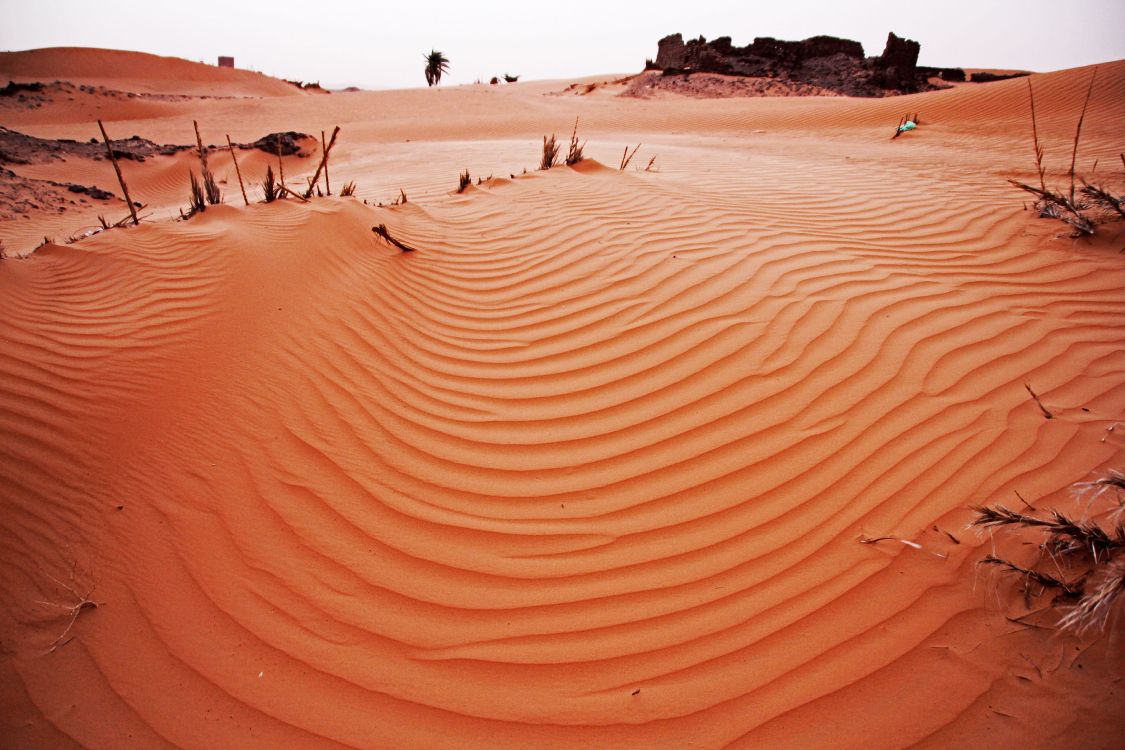 Erg, 沙, 风积地貌, 撒哈拉, 地质学 壁纸 5184x3456 允许