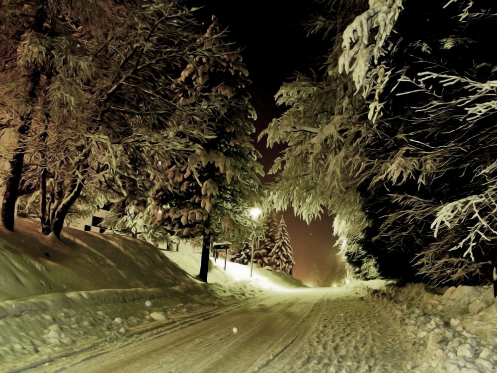 Route Couverte de Neige Entre Les Arbres Pendant la Journée. Wallpaper in 2560x1920 Resolution