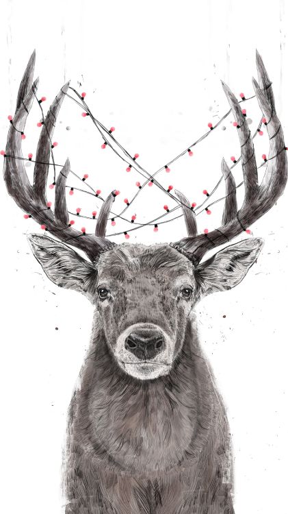 Renne, Elk, Art, White, Pente. Wallpaper in 2160x3840 Resolution