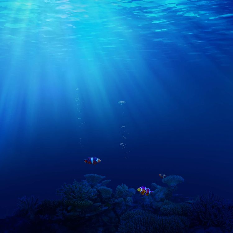 Huawei, Huawei Honor 20, Huawei Ehre 20 Pro, Ehre 20, Gewässer. Wallpaper in 2340x2340 Resolution