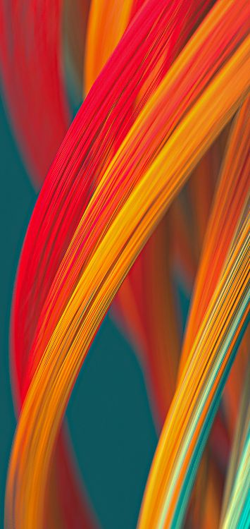 Orange, Farbigkeit, Terrestrische Pflanzen, Electric Blue, Farbtöne Und Schattierungen. Wallpaper in 1421x3000 Resolution