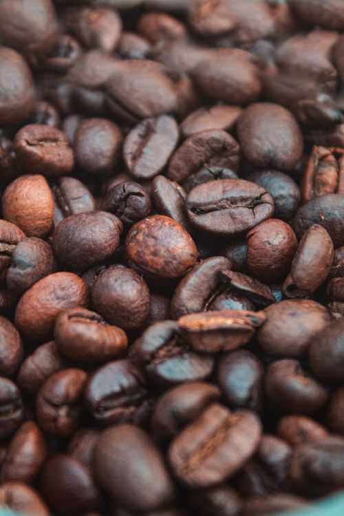 Brown Coffee Beans in Close up Photography. Wallpaper in 3456x5184 Resolution