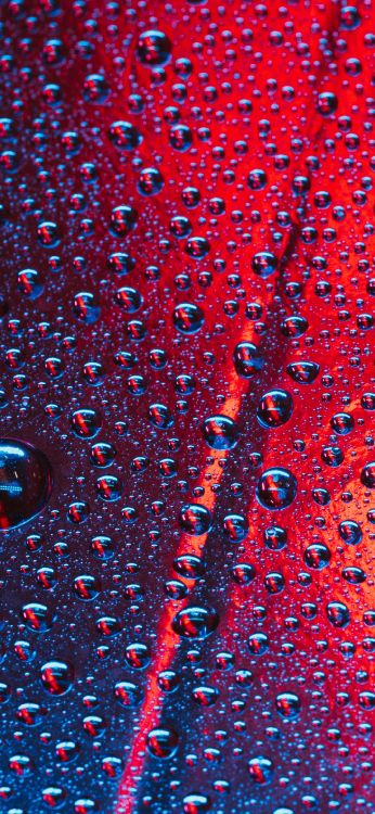 Patrón, Matemáticas, Geometría, Magenta, Arte. Wallpaper in 1080x2340 Resolution