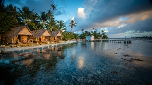 Image brown wooden house near palm trees and body of water during daytime