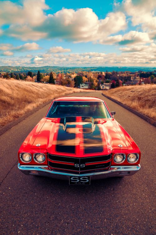 Chevrolet Camaro, Car, Chevrolet Chevelle, Oldtimer, Ford Mustang. Wallpaper in 5304x7952 Resolution