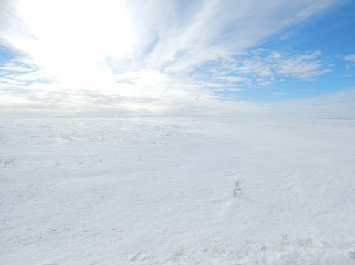 Image white snow covered field under blue and white cloudy sky during daytime