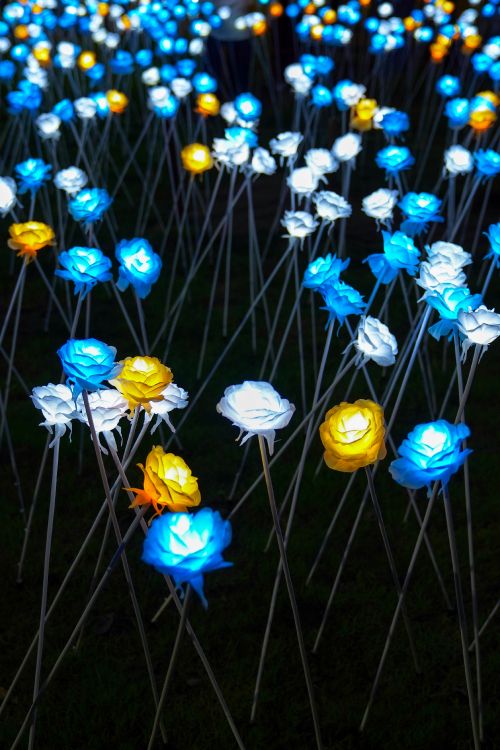 Fleurs Bleues et Jaunes Avec Des Feuilles Vertes. Wallpaper in 3260x4887 Resolution