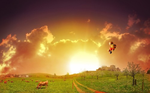 Image man in blue jacket jumping on green grass field under blue sky during daytime