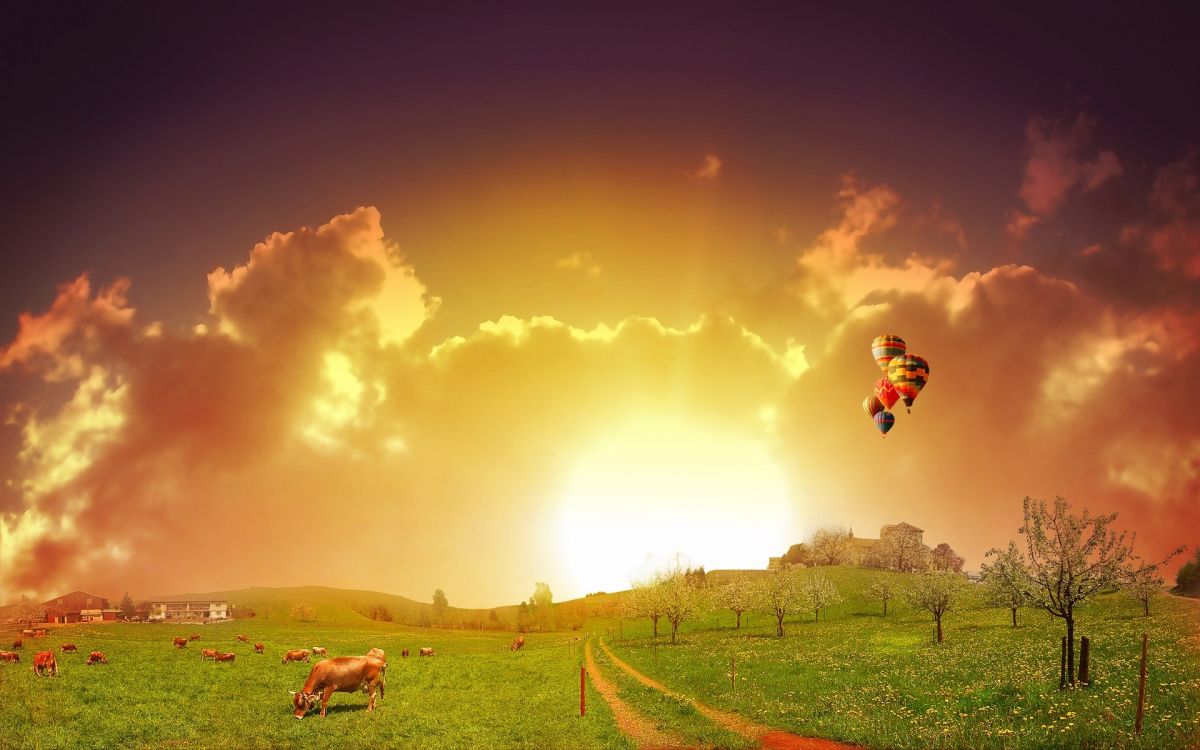 man in blue jacket jumping on green grass field under blue sky during daytime