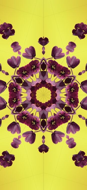 IOS 17, 苹果, Ios, 紫色的, 黄色的 壁纸 1290x2796 允许