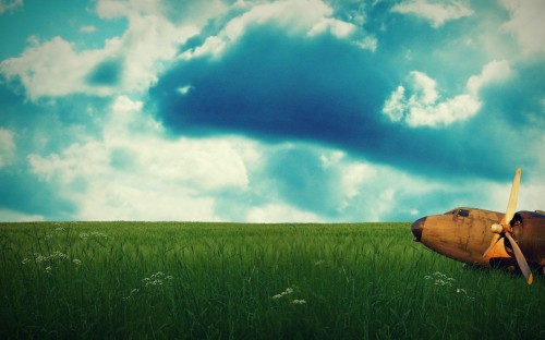 Image green grass field under blue sky and white clouds during daytime