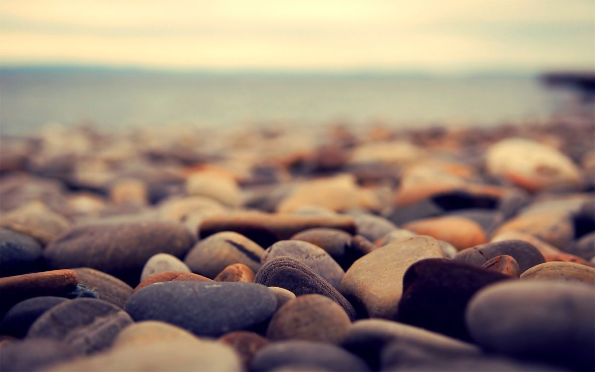 gray and black stones near body of water during daytime