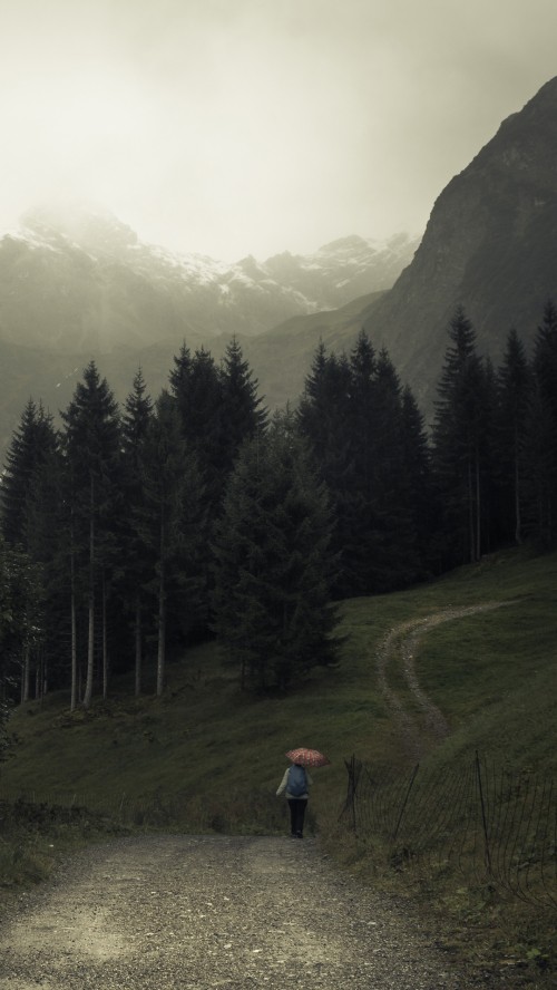 Image nature, mountain, cloud, plant, tree