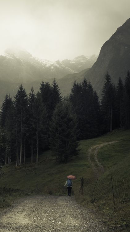 nature, mountain, cloud, plant, tree