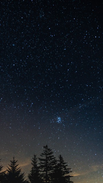 Image silhouette of trees under blue sky during night time