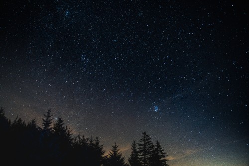 Image silhouette of trees under blue sky during night time