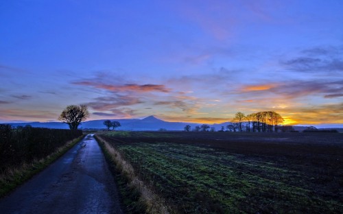 Image green grass field during sunset