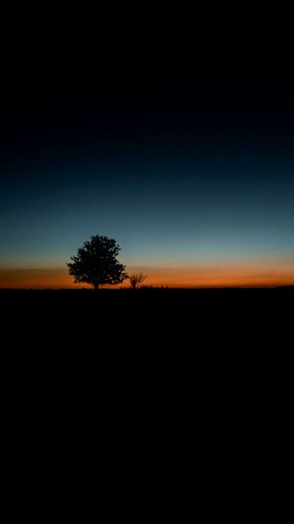 Javascript, Aplicaciones Web Progresivas, Ambiente, Afterglow, Paisaje Natural. Wallpaper in 640x1137 Resolution