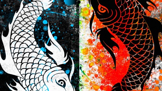 hd fish wallpaper for laptop