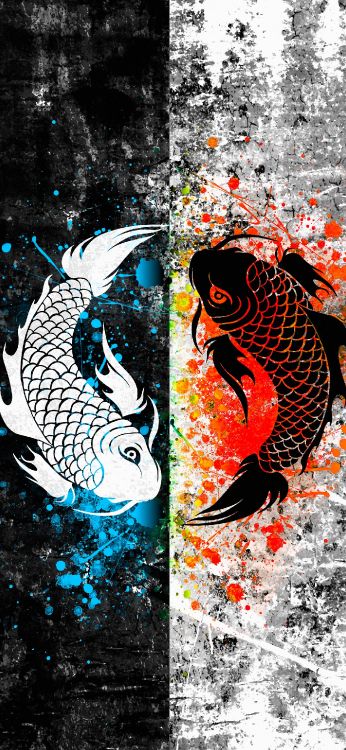 Koifisch, Koi, Goldfarbe, Fisch, ROG Telefon. Wallpaper in 1407x3045 Resolution