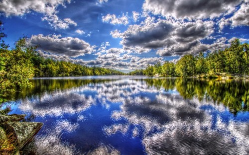 Image green trees beside body of water under blue sky and white clouds during daytime