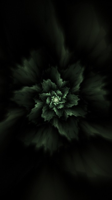 Image grayscale photo of flower in dark room