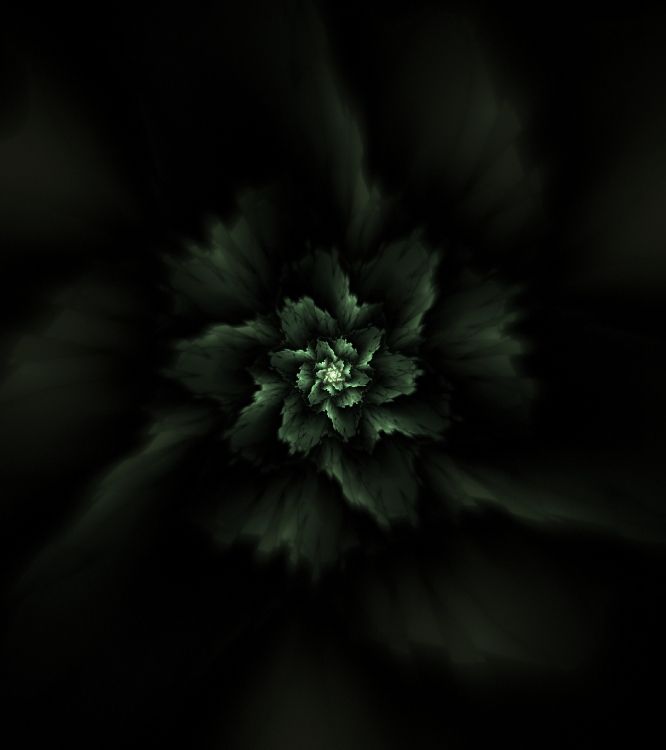 grayscale photo of flower in dark room