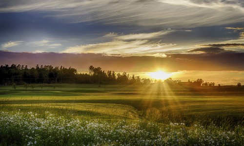 Image green grass field during sunset