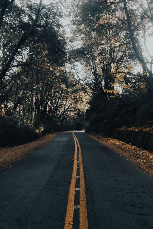 Paysage Naturel, Infrastructure, Matin, Asphalte Béton, Asphalt. Wallpaper in 3871x5806 Resolution